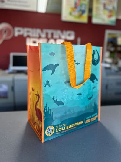 College Park Grocery Tote Bag