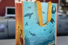 City-of-College-Park-Grocery-Tote