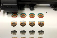 Custom-cut-decals